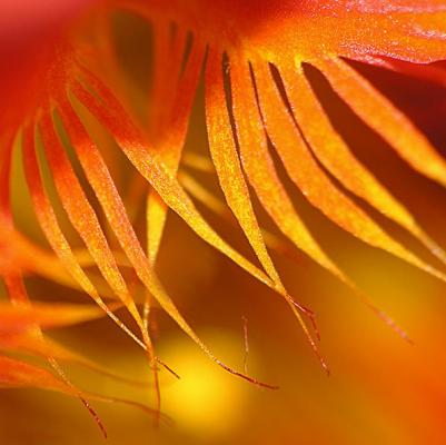 Lidschlag (2006) - Christine Gross - auf - Array - Lidschlag (2006) - Christine Gross - auf - Array -