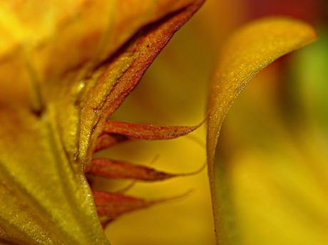 teasing (2006) - Christine Gross - auf - Array - teasing (2006) - Christine Gross - auf - Array -