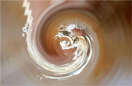 Der fliegende Fisch - Ulrike Kirschner - Array auf - Array - Der fliegende Fisch - Ulrike Kirschner - Array auf - Array -