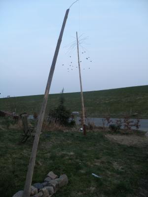 ---die Ruhe - Wolfgang Thomsen - auf - Array - ---die Ruhe - Wolfgang Thomsen - auf - Array -