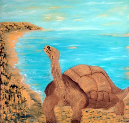 Landschildkröte - Marie-Therese Schmahl - Array auf Array - Array - Landschildkröte - Marie-Therese Schmahl - Array auf Array - Array -