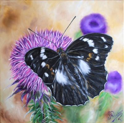 Schmetterling - Maria Prachnau - Array auf Array - Array - Array Schmetterling - Maria Prachnau - Array auf Array - Array - Array