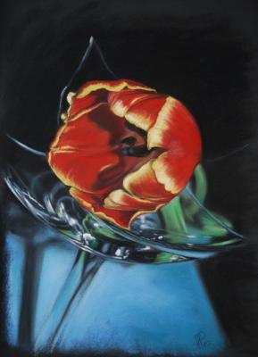 Zerbrechliche Schönheit - Maria Prachnau - Array auf Array - Array - Array Zerbrechliche Schönheit - Maria Prachnau - Array auf Array - Array - Array