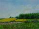 Rapsfelder - Bernd Fricke - Mischtechnik-Ãl auf Leinwand - Berge-Garten-Himmel-Wiese-Frühling - Impressionismus Rapsfelder - Bernd Fricke - Mischtechnik-Ãl auf Leinwand - Berge-Garten-Himmel-Wiese-Frühling - Impressionismus