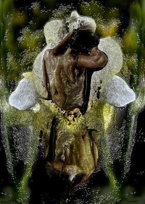 blumenfrau - hansgeorg götz - Array auf - Array - blumenfrau - hansgeorg götz - Array auf - Array -