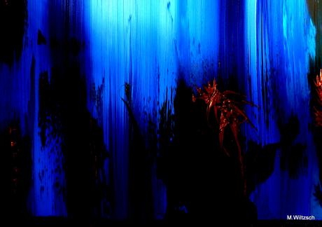 Schätze im Licht der Meere III. - Mario Wiltzsch - Array auf Array - Array - Schätze im Licht der Meere III. - Mario Wiltzsch - Array auf Array - Array -