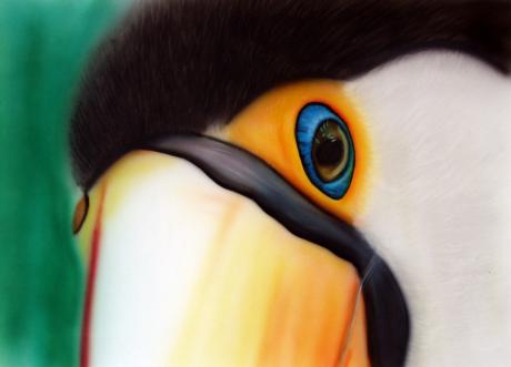 Farbenpracht - Günter Stieger - Array auf Array - Array - Array Farbenpracht - Günter Stieger - Array auf Array - Array - Array