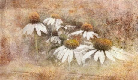 Sommersonnenhut - Claudia Gründler - Array auf - Array - Sommersonnenhut - Claudia Gründler - Array auf - Array -