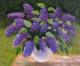 ---Und Lilac Bloms Again ---Und Lilac Bloms Again