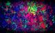 Graff - Johann Leonard Hoffmann - Illustration-DigitaleKunst auf  - Abstrakt-Fantastisch-Mystik - 