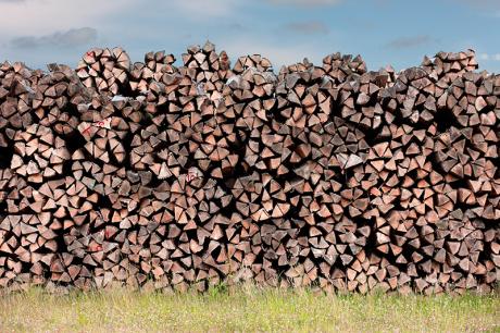 Holz - Michael Guntenhöner - Array auf - Array - Holz - Michael Guntenhöner - Array auf - Array -