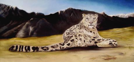 Schneeleopard im Pamir - Erhard Sünder - Array auf Array - Array - Array Schneeleopard im Pamir - Erhard Sünder - Array auf Array - Array - Array