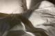 cosy - no name - auf - Sonstiges-Stimmungen - cosy - no name - auf - Sonstiges-Stimmungen -