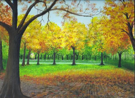 Buchenhain im Herbst - Rainer Hillebrand - Array auf - Array - Array Buchenhain im Herbst - Rainer Hillebrand - Array auf - Array - Array