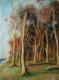 Geisterwald - Birgit Müller - Pastell auf Papier - Wald - Geisterwald - Birgit Müller - Pastell auf Papier - Wald -