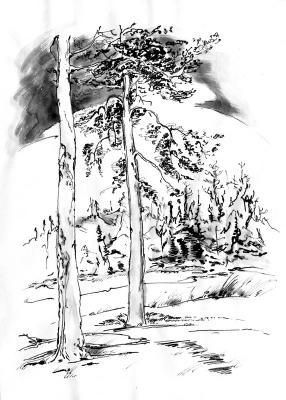 Landschaft 6 - Natalya Avdyunicheva - auf - Array - Landschaft 6 - Natalya Avdyunicheva - auf - Array -