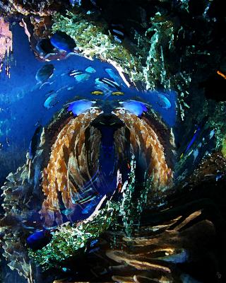 unterwasserwelt - hansgeorg götz - Array auf - Array - unterwasserwelt - hansgeorg götz - Array auf - Array -