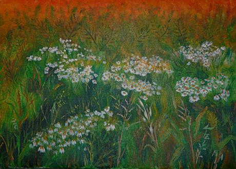 Feldrand - Frank Finny - Array auf Array - Array - Array Feldrand - Frank Finny - Array auf Array - Array - Array