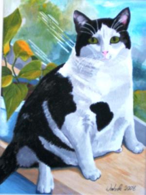 Kater Pedro - Ulrike Mahler - Array auf Array - Array - Kater Pedro - Ulrike Mahler - Array auf Array - Array -