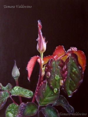 El Rocío /The dew - Tamara Valdovino - Array auf Array - Array - Array El Rocío /The dew - Tamara Valdovino - Array auf Array - Array - Array