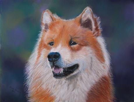 Eurasier - Heide Krause - Array auf Array - Array - Array Eurasier - Heide Krause - Array auf Array - Array - Array