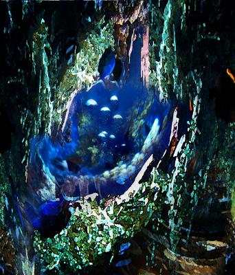 unterwasserwelt V - hansgeorg götz - Array auf - Array - unterwasserwelt V - hansgeorg götz - Array auf - Array -
