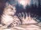 Katze im Schnee - Boo D - Airbrush auf - Tiere - Katze im Schnee - Boo D - Airbrush auf - Tiere -