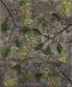 Herbst - Michael Schirdewahn - Acryl-Sonstiges auf Leinwand -  - 