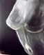 Bodypart Akt SW - Stefanie Caroline Brandes - Acryl auf - weiblich - Bodypart Akt SW - Stefanie Caroline Brandes - Acryl auf - weiblich -