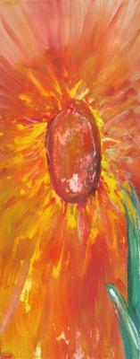 Sonnenblume 1 - CHR_15 chr_15 - Array auf Array - Array - Array Sonnenblume 1 - CHR_15 chr_15 - Array auf Array - Array - Array