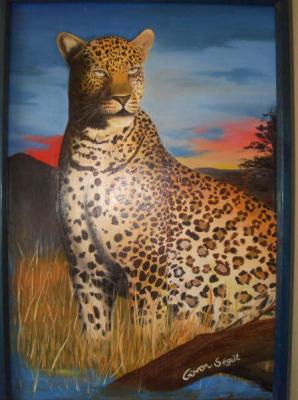 ---Jaguar - güven sögüt - auf - Array - Array ---Jaguar - güven sögüt - auf - Array - Array