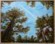 Herbstwald - Marianne Koroll - Acryl-Mischtechnik-Ãl auf Leinwand - Fantastisch-Himmel-Wald-Wolken - Herbstwald - Marianne Koroll - Acryl-Mischtechnik-Ãl auf Leinwand - Fantastisch-Himmel-Wald-Wolken -
