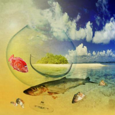 Der Silvesterhering - Ulrike Kirschner - Array auf - Array - Der Silvesterhering - Ulrike Kirschner - Array auf - Array -