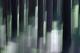 Nebulos - Walter J. Pilsak -  auf  - Abstrakt-Natur - 