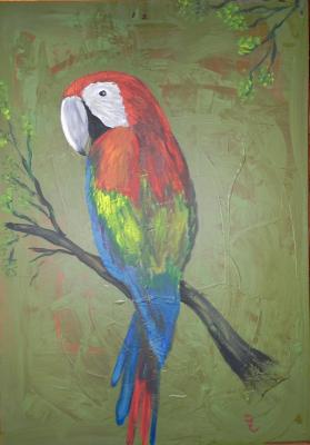 Papagei - Diane Russo - Array auf Array - Array - Papagei - Diane Russo - Array auf Array - Array -