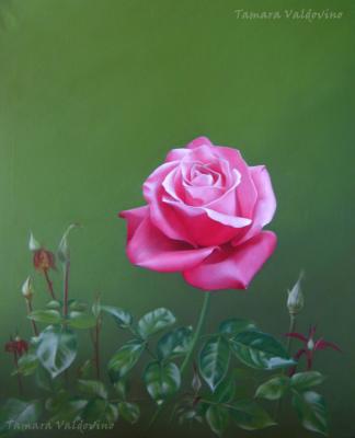 Plenitude II - Tamara Valdovino - Array auf Array - Array - Array Plenitude II - Tamara Valdovino - Array auf Array - Array - Array