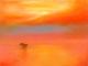 Element Farbe - Silvian Sternhagel - Ãl auf Leinwand - Fantastisch-Mystik-Himmel-Meer-Wolken-Sonnenuntergang - Expressionismus-GegenstÃ¤ndlich-Impressionismus-Naturalismus-Symbolismus