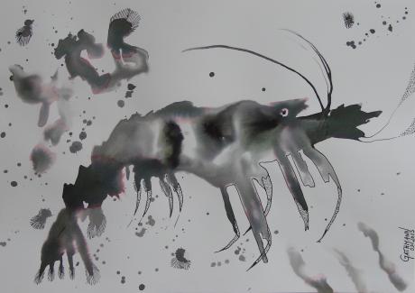 Garnele - Christiane Gathmann - Array auf Array - Array - Garnele - Christiane Gathmann - Array auf Array - Array -