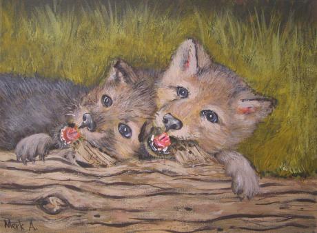 Kleine Wölfe - Andreas Merk - Array auf Array - Array - Kleine Wölfe - Andreas Merk - Array auf Array - Array -