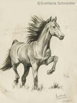 Pferd - Svetlana Schneider - Array auf Array - Array - Array Pferd - Svetlana Schneider - Array auf Array - Array - Array
