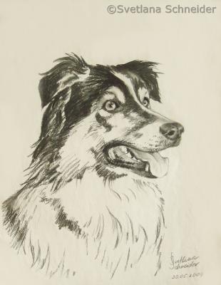 Hund - Svetlana Schneider - Array auf Array - Array - Array Hund - Svetlana Schneider - Array auf Array - Array - Array