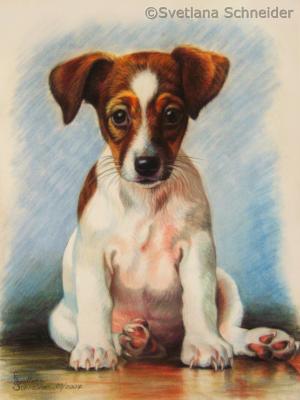 Welpe - Svetlana Schneider - Array auf - Array - Welpe - Svetlana Schneider - Array auf - Array -