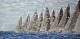 Regatta 11 - Alexander Majer - Acryl auf Leinwand -  - 