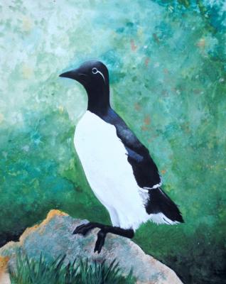 Kayra - Vilinskiy Nic - Array auf Array - Array - Array Kayra - Vilinskiy Nic - Array auf Array - Array - Array