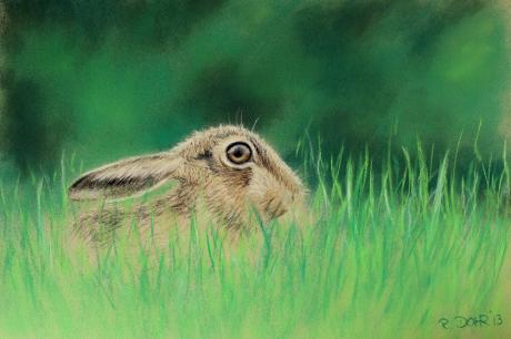 Mein Name ist Hase... - Renate Dohr - Array auf Array - Array - Array Mein Name ist Hase... - Renate Dohr - Array auf Array - Array - Array