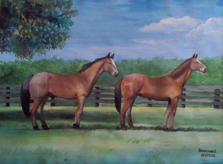 Pferde - Vilinskiy Nic - Array auf Array - Array - Array Pferde - Vilinskiy Nic - Array auf Array - Array - Array