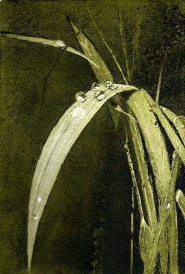 Bright grass - Tamara Valdovino - Array auf - Array - Bright grass - Tamara Valdovino - Array auf - Array -