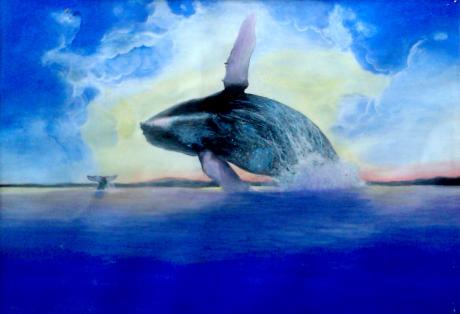 Buckelwal - Vilinskiy Nic - Array auf Array - Array - Array Buckelwal - Vilinskiy Nic - Array auf Array - Array - Array