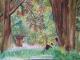 Frodo liest - Katja Humbs - Aquarell-Mischtechnik-Pastell auf Papier - Fantastisch-BÃ¤ume-Wald - 