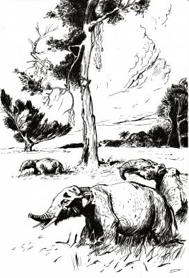 Tetralophodon - Vilinskiy Nic - Array auf Array - Array - Array Tetralophodon - Vilinskiy Nic - Array auf Array - Array - Array